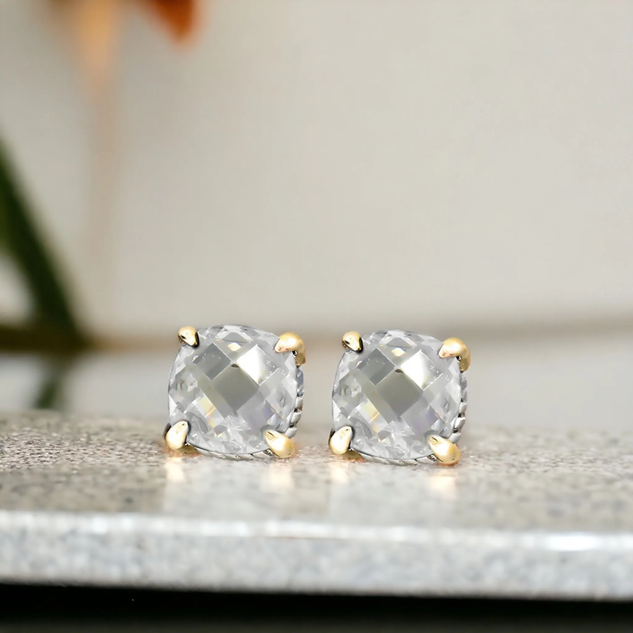 Double Metal Stud CZ Earrings