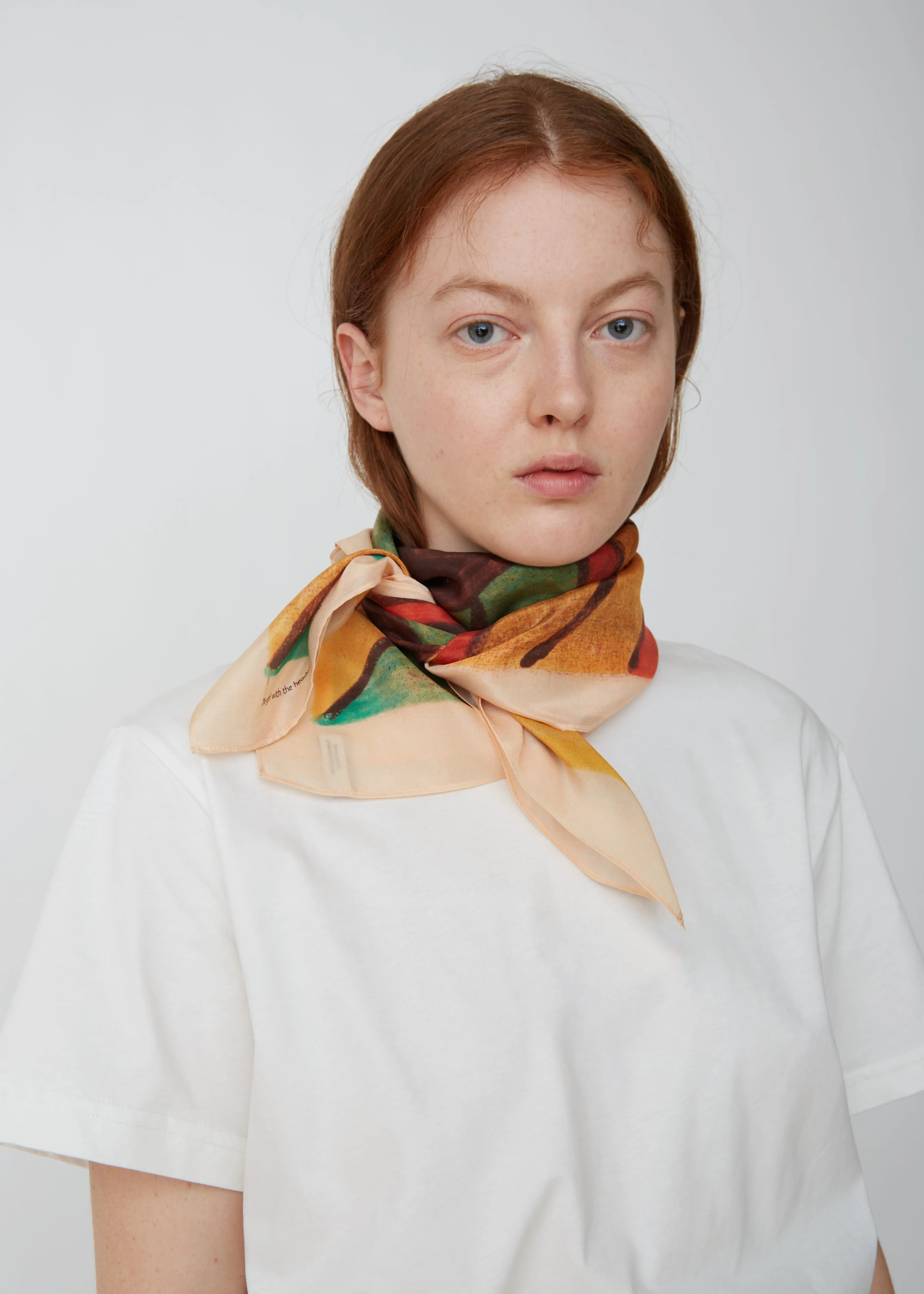Multicolor Printed Silk Scarf