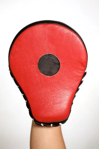 Necalli Professional Training Punch Mitts